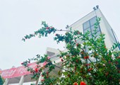 校園一角
