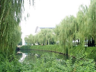 校園風景