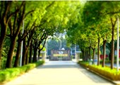 校園道路