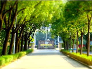 校園道路